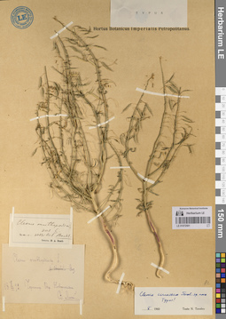 LE 01072501