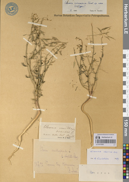 LE 01072502