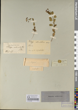 LE 01221268