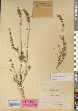 LE 01221280