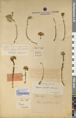 LE 01221286