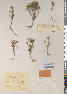 LE 01221290