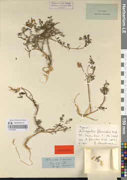 LE 01222619