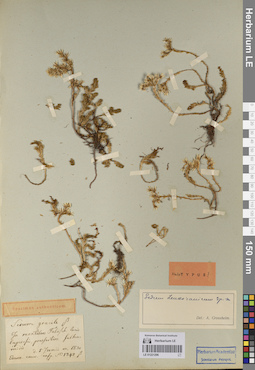LE 01221296