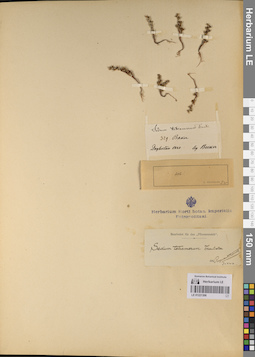 LE 01221306