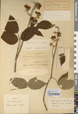 LE 01221728