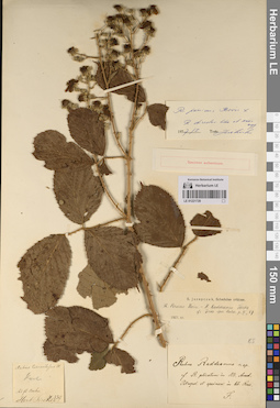 LE 01221729