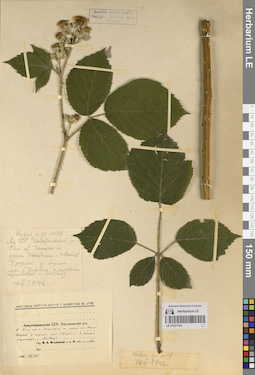LE 01221734