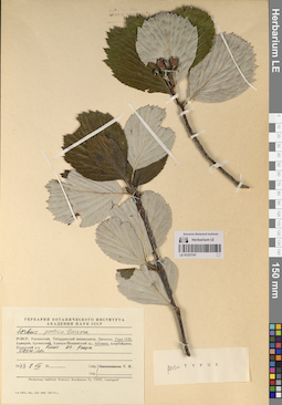 LE 01221741