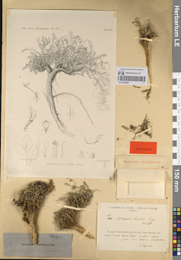 LE 01222691