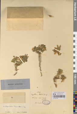 LE 01221759
