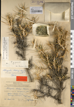 LE 01221770