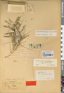 LE 01221775