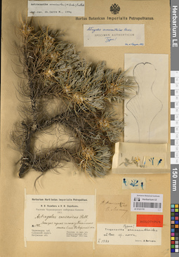 LE 01221781