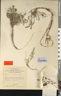 LE 01221784