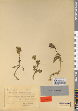 LE 01221785