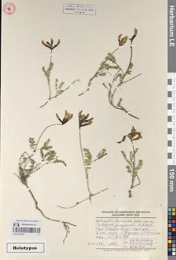 LE 01221793