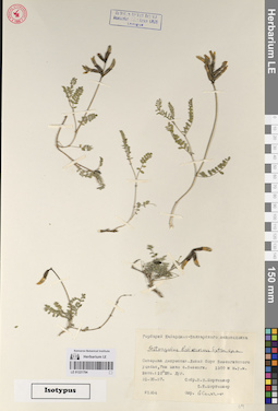 LE 01221794
