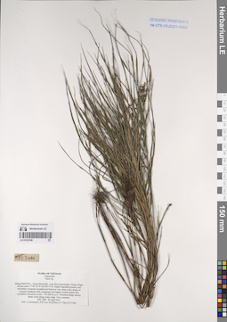 LE 01232356