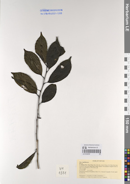 LE 01232519