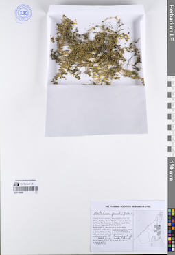 LE 01195087