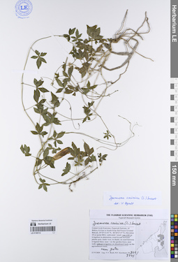 LE 01195112