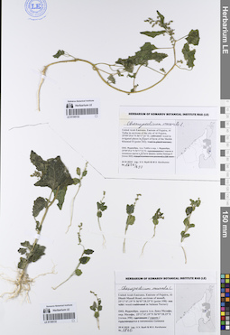 LE 01195132