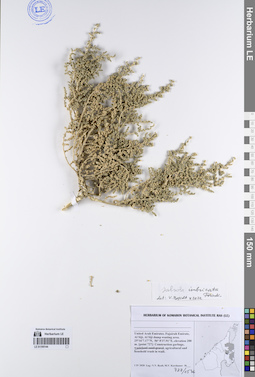 LE 01195144