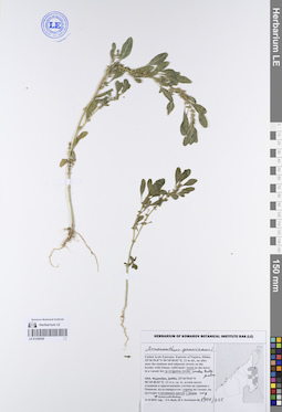 LE 01249250