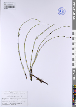 LE 01080428