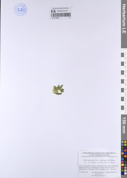 LE 01108070