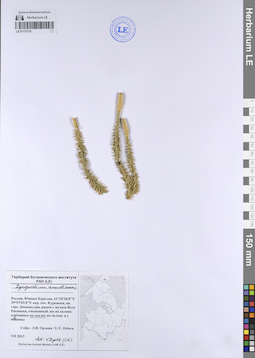 LE 01172710