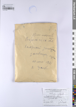 LE 01177422