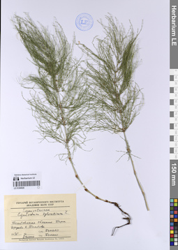 LE 01200928