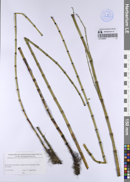 LE 01200938