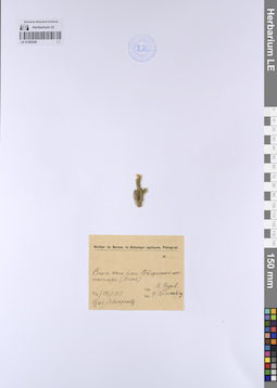 LE 01205349
