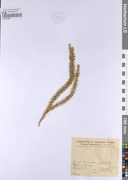 LE 01205803