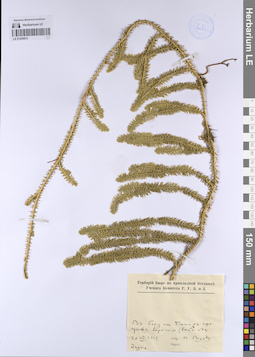 LE 01205812