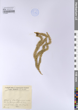 LE 01205819