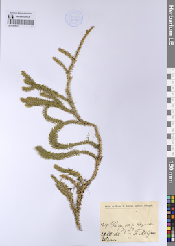 LE 01205823