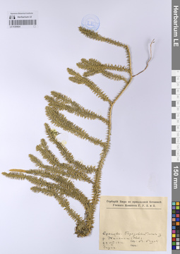 LE 01205824