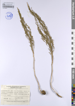 LE 01106231