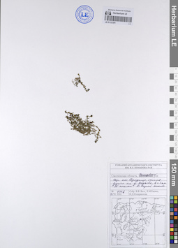 LE 01121201