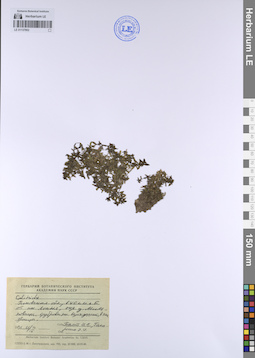 LE 01137902