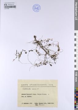 LE 01137908