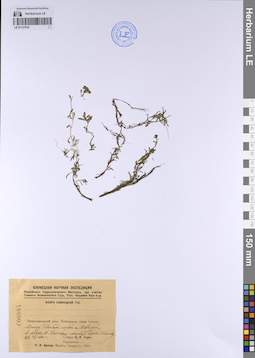 LE 01137910