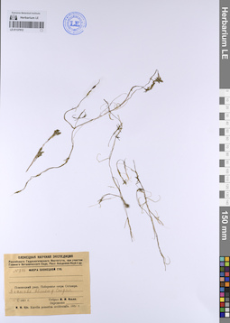 LE 01137912