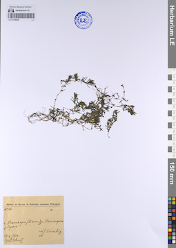 LE 01138208