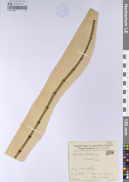 LE 01173609