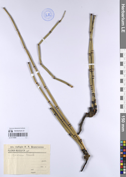 LE 01174544